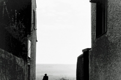 Ausblick