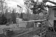 Hoheitszeichen22a
