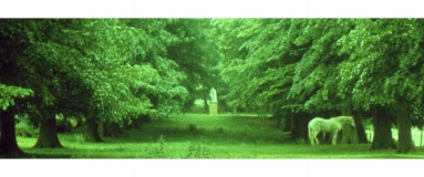 Idylle7