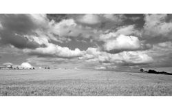Landschaft13