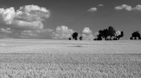 Landschaft20