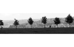 Landschaft7
