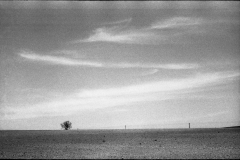 Landschaft10