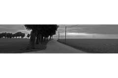 Landschaft11