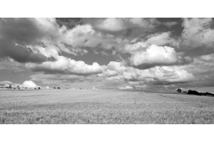 Landschaft13