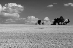 Landschaft20