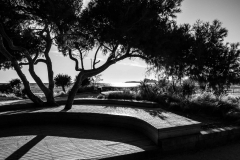 Landschaft26