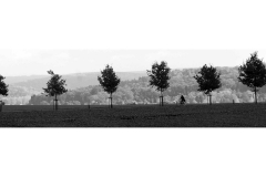 Landschaft7