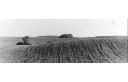 Muster-Strukturen22