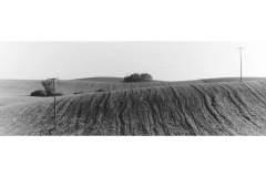Muster-Strukturen22