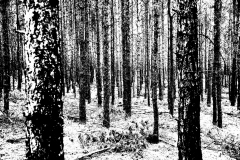 Muster-Strukturen9