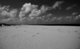 Wasserschaft14