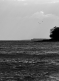 Wasserschaft16