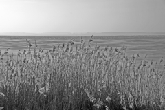 Wasserschaft12