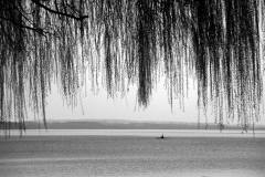 Wasserschaft7