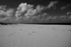 Wasserschaft14