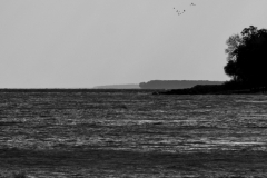 Wasserschaft16