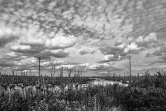 Wasserschaft19