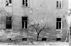 Stadtschaft16