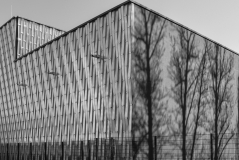 Stadtschaft57