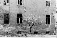 Stadtschaft16
