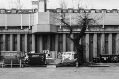 Stadtschaft53