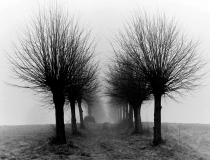 Vorher-Nachher2a