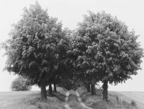 Vorher-Nachher2b