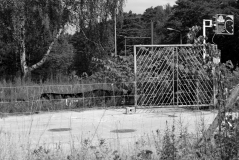 Vorher-Nachher5b