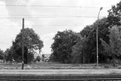 Vorher-Nachher1b