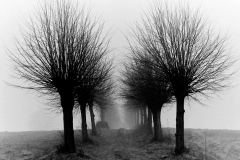 Vorher-Nachher2a