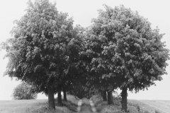 Vorher-Nachher2b